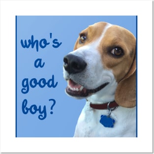 Beagle "Who's a Good Boy?" Posters and Art